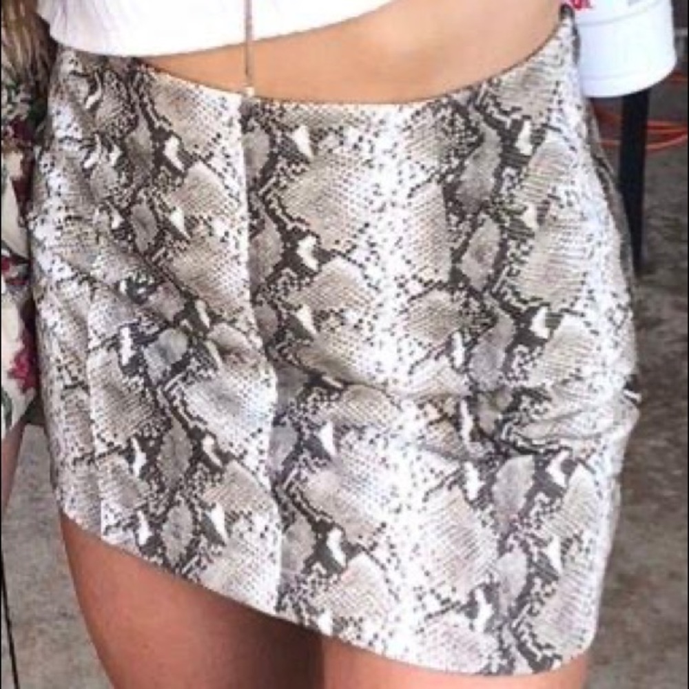 Snakeskin Mini Skirt